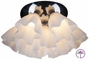 *COLOSSEO 82006/7C MIRA ���� E27 7*60W ������